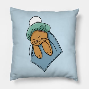 Cute Cat wearing a Beret in the Pocket Pillow