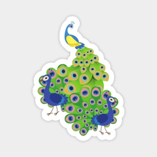 Beautiful Peacock Magnet