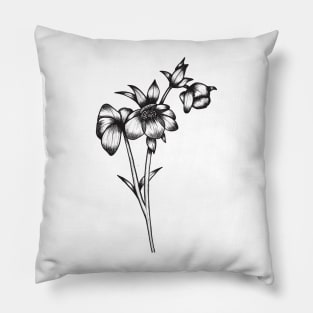 Hellebore linedrawing Pillow