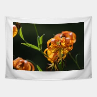 Turk's Cap Lily Tapestry