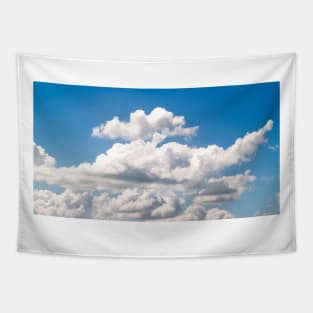 Air atmosphere backdrop background Tapestry