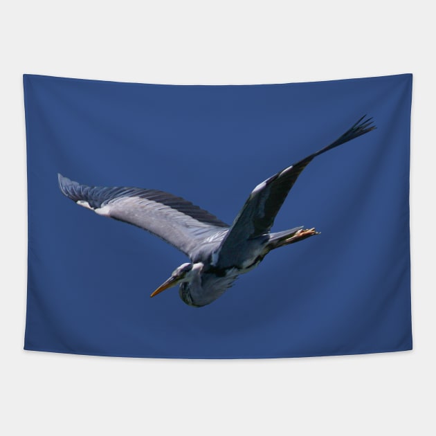 Stork Tapestry by FotoJarmo