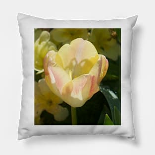 Tulip Pillow