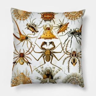 Arachnids by Ernst Haeckel Pillow