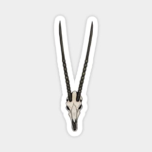 Gemsbok Magnet