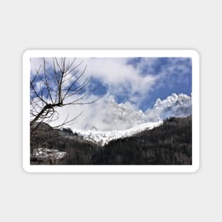 Snowy Mountain Landscape with Tree Magnet