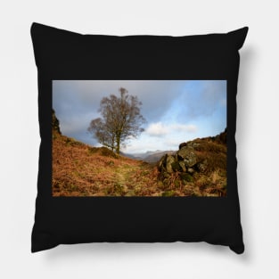 Walking over Holme Fell Pillow