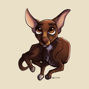 Chocolate Chihuahua T-Shirt