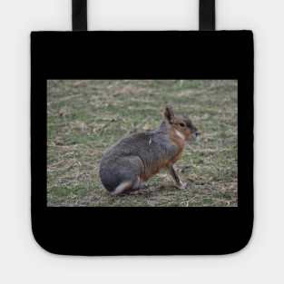 Patagonian Cavy Tote