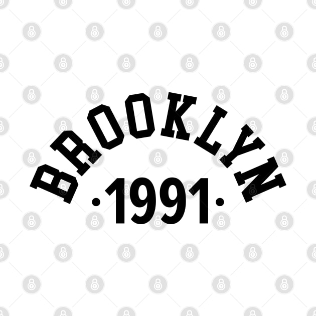 Brooklyn Chronicles: Celebrating Your Birth Year 1991 by Boogosh