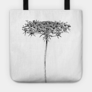 Queen Anne Lace Drawing Tote