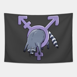 Trans Raccoon Tapestry