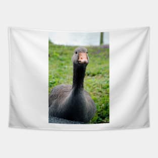 Canada Goose Canadian Geese Wild Bird Tapestry