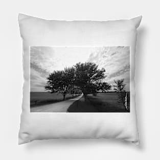 Long Way Home Pillow