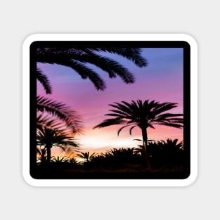 Silhouette of Palm Trees Magnet