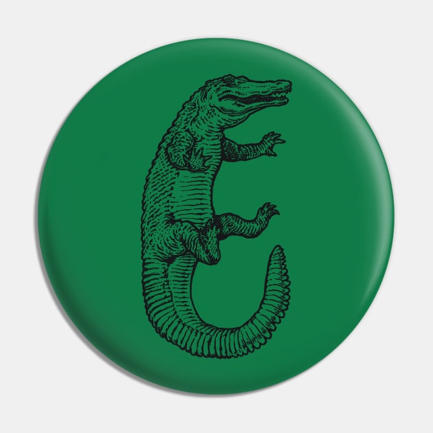 A Levity of Animals: See Ya Later, Alligator! Pin by calebfaires