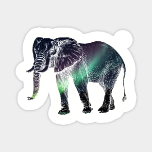 Aurora Borealis African Elephant Silhouette Magnet