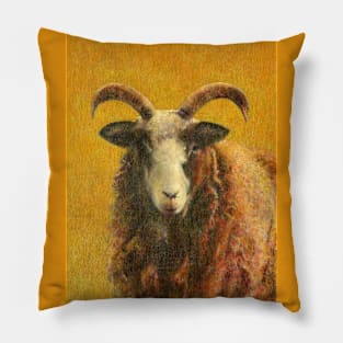 Jacob Sheep On Gold Pillow