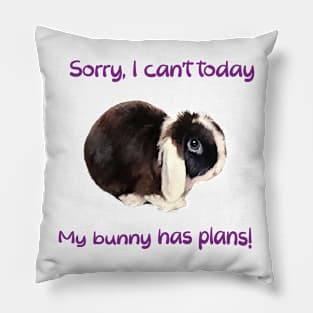 Sorry, I can't today... my bunny has plans! Pillow