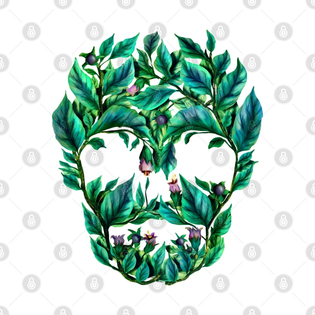 Deadly nightshade skull by Sitenkova