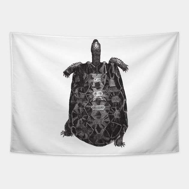 Tortoise Nature Drawing Tapestry by KnuckleTonic