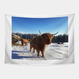 Scottish Highland Cattle Cows 1709 Tapestry