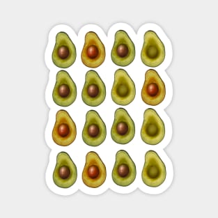 avocado Magnet