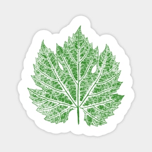 Grape Vine Leaf IMPRINT Magnet