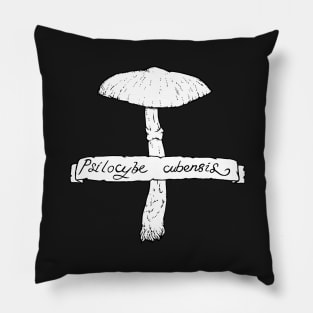 Psilocybe cubensis Pillow