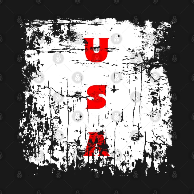 USA Faded Initials by DMcK Designs