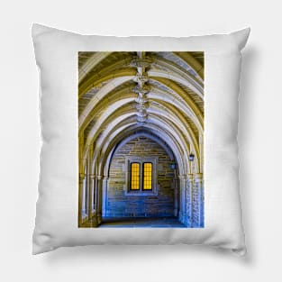 Princeton University Hallway Pillow