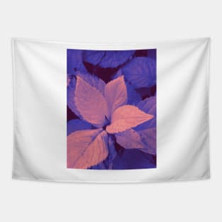 Photo of leaves in a pink and purple gradient Tapestry