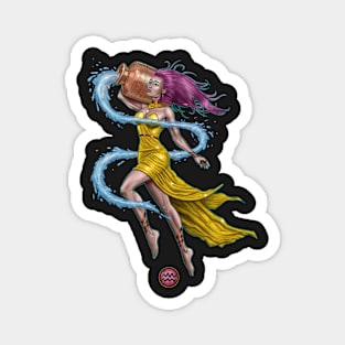 Aquarius Astrology Magnet