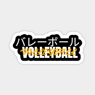 Volleyball Magnet