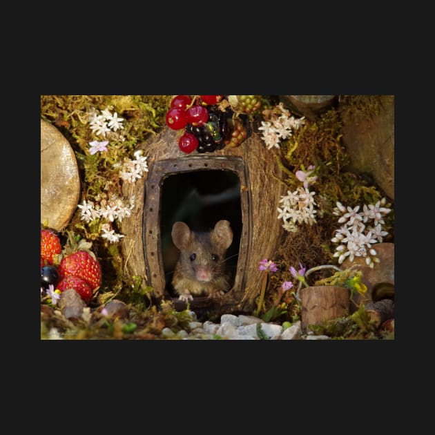 George the mouse in a log pile house by Simon-dell