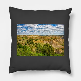 Theodore Roosevelt National Park North Unit Pillow