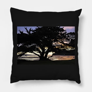 Nouvelle Zélande - Péninsule de Coromandel Pillow