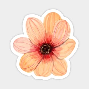 Orange gerbera flower Magnet