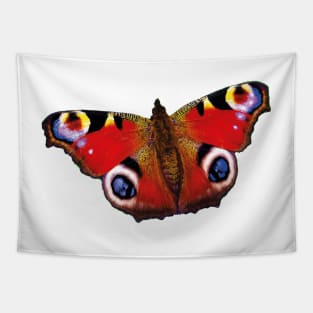 Beautiful butterfly peacock butterfly eye Tapestry