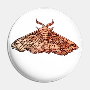 hand drawn moth Pin