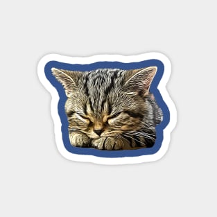 American Shorthair Cat Magnet