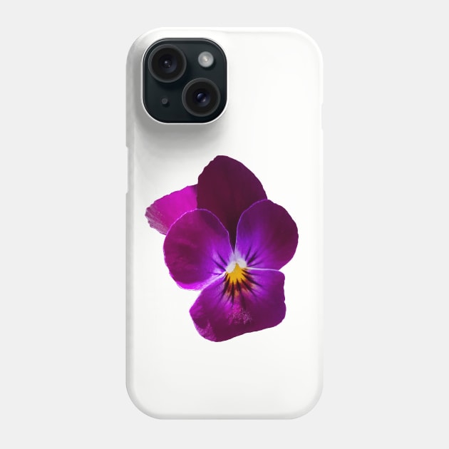 Purple Violet Flower Photo Phone Case by ellenhenryart