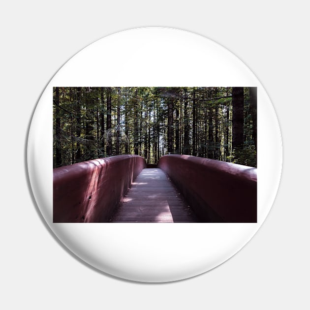 Lady Bird Johnson Grove bridge Pin by blossomcophoto