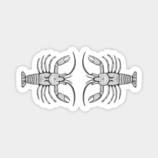 Crayfish in Love - detailed animal ink art - on white Magnet