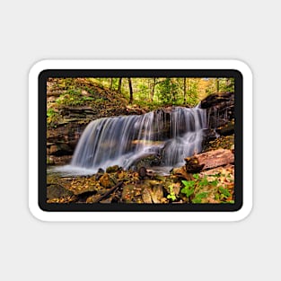 Forest waterfall Magnet