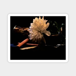 Chrysanthemum & Cinnamon - Baroque Inspired Dark Still Life Photo Magnet