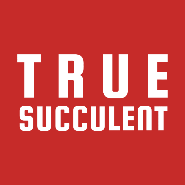 True Succulent by Succulent Circle