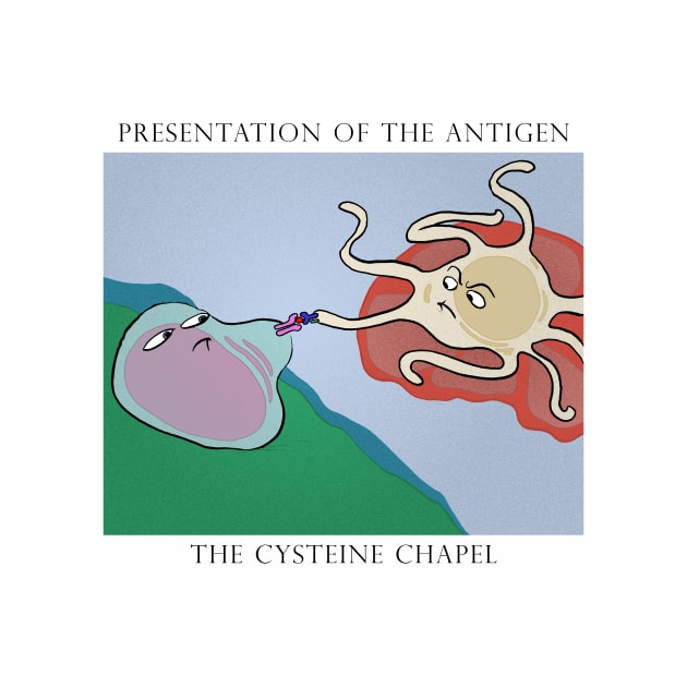 Presentation of the antigen by velica