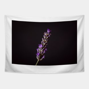 Lavender on Black Tapestry