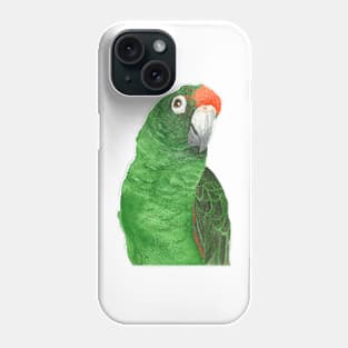 jardine's parrot watercolor - bird paint Phone Case